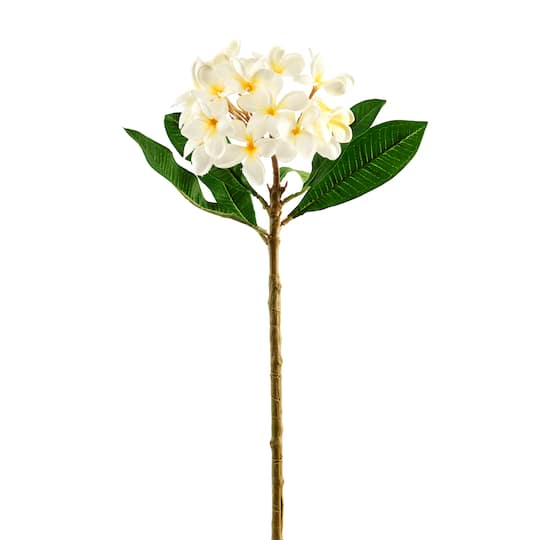 12 Pack: White Frangipani Stem by Ashland®